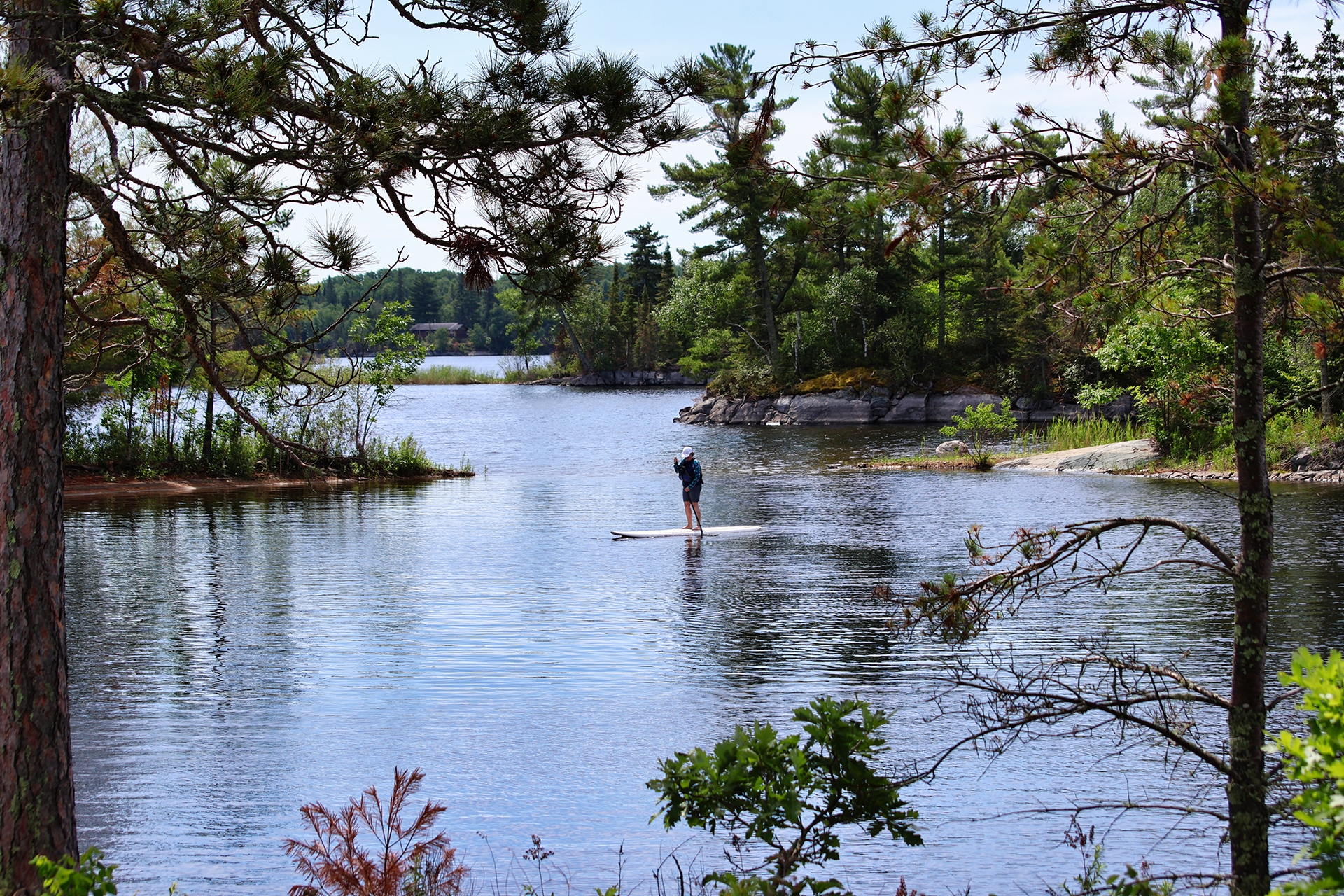 A person is paddle boarding on a lake surrounded by trees.