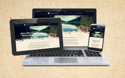 News & Newsletters banner